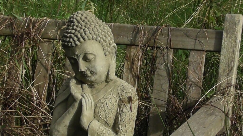 Picture of a Buddha and Dragonfly